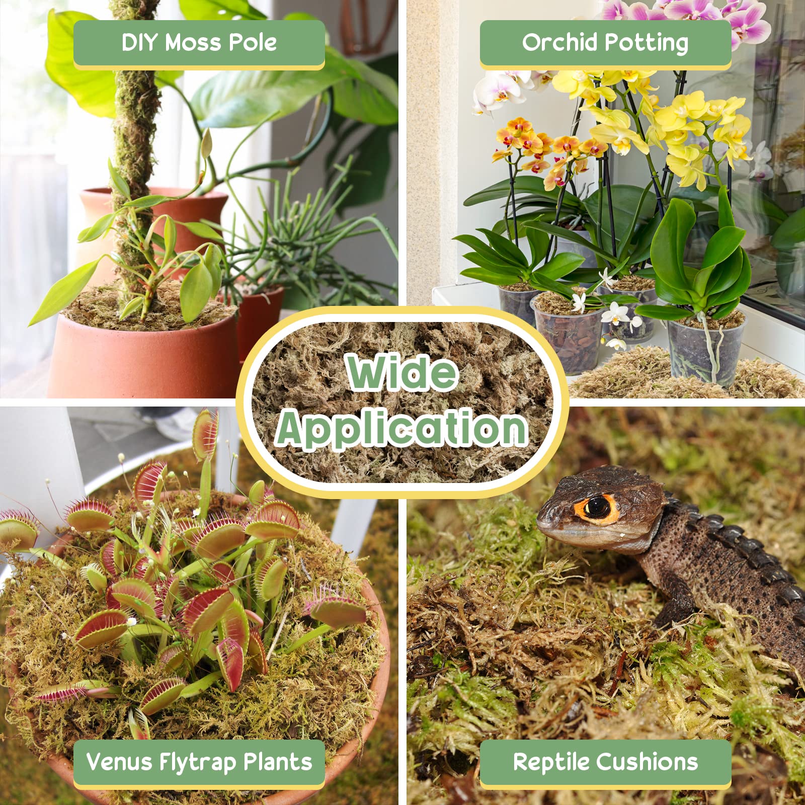 Legigo sphagnum moss terrarium substrate supports reptiles and amphibians.