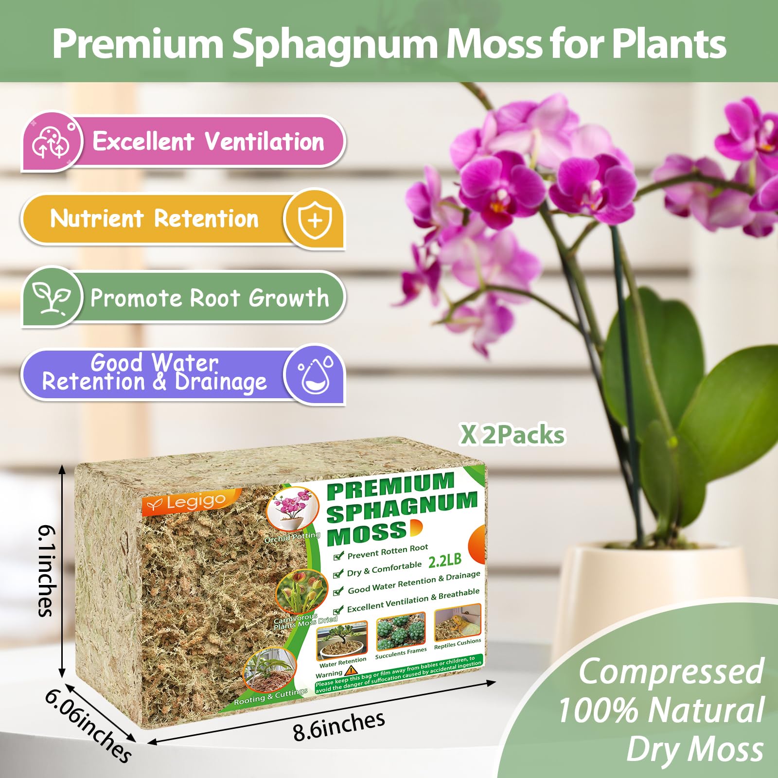 Legigo sphagnum moss water absorption highlights moisture retention for healthy roots.