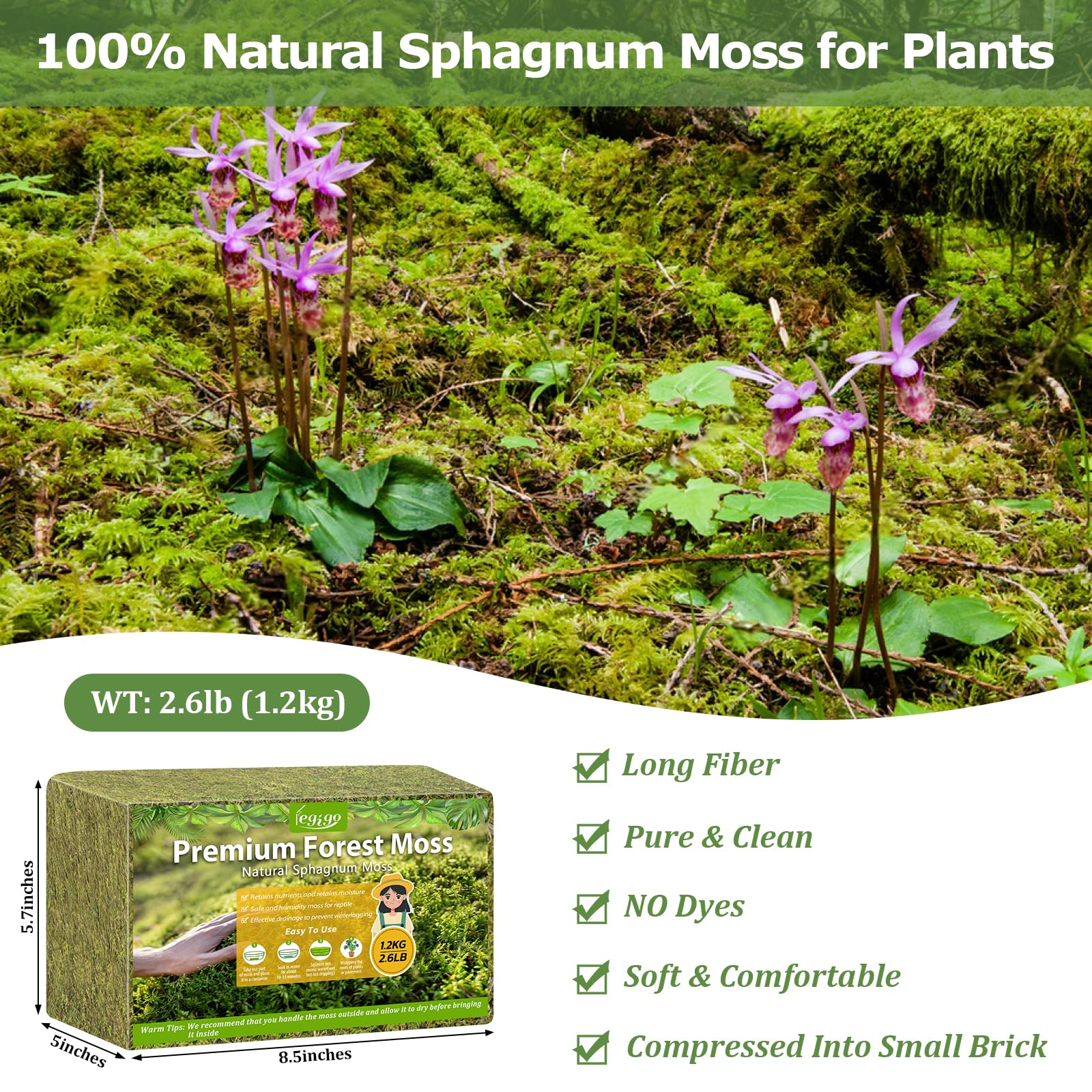 Legigo sphagnum moss expanding in water to boost moisture retention