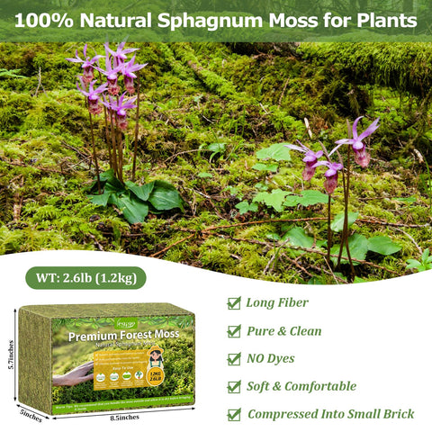 Legigo sphagnum moss expanding in water to boost moisture retention