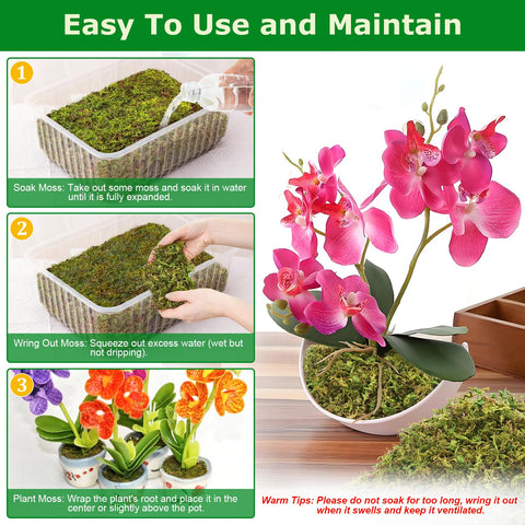 Legigo sphagnum moss water retention demonstrating moisture management