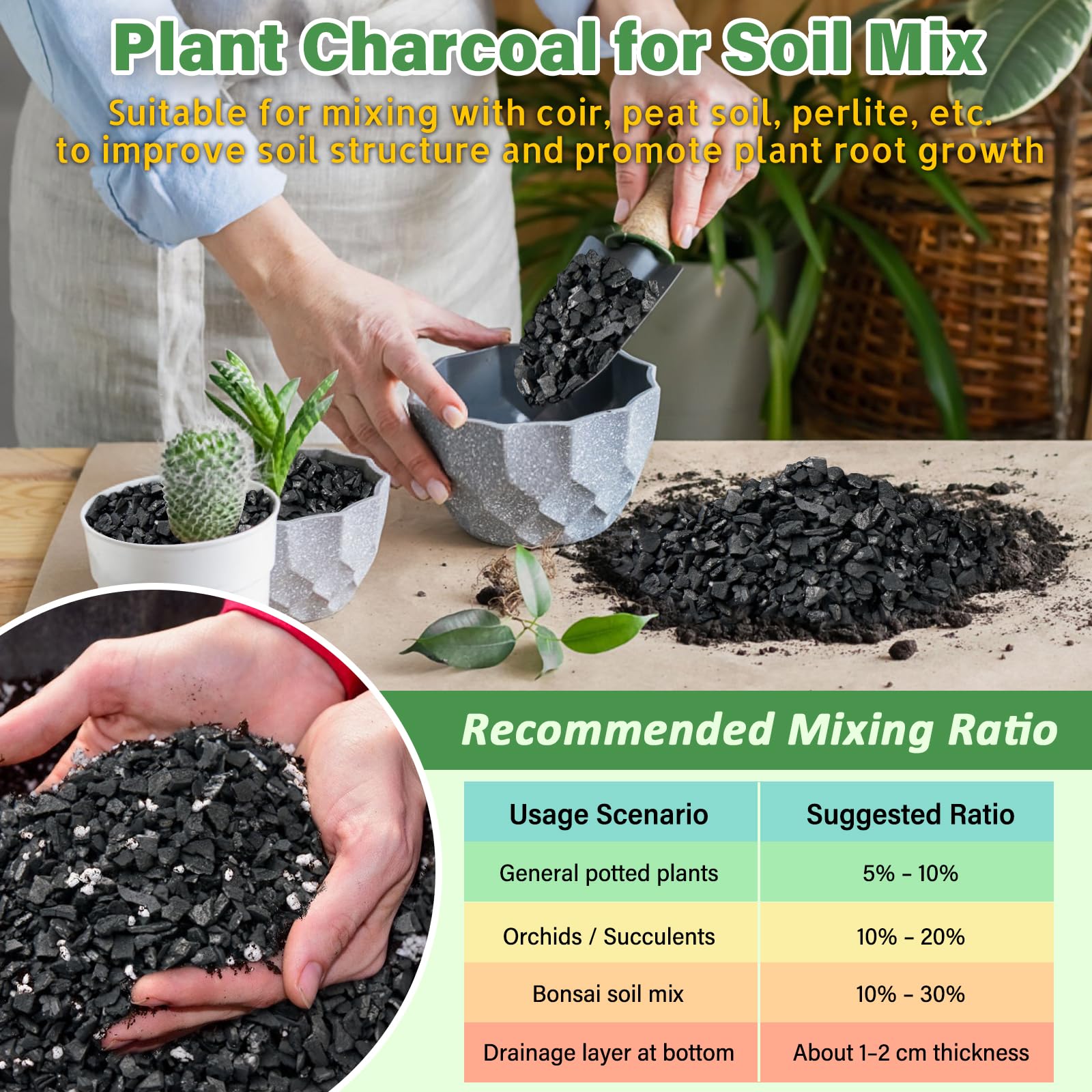 Legigo terrarium bottom layer charcoal supports moisture balance
