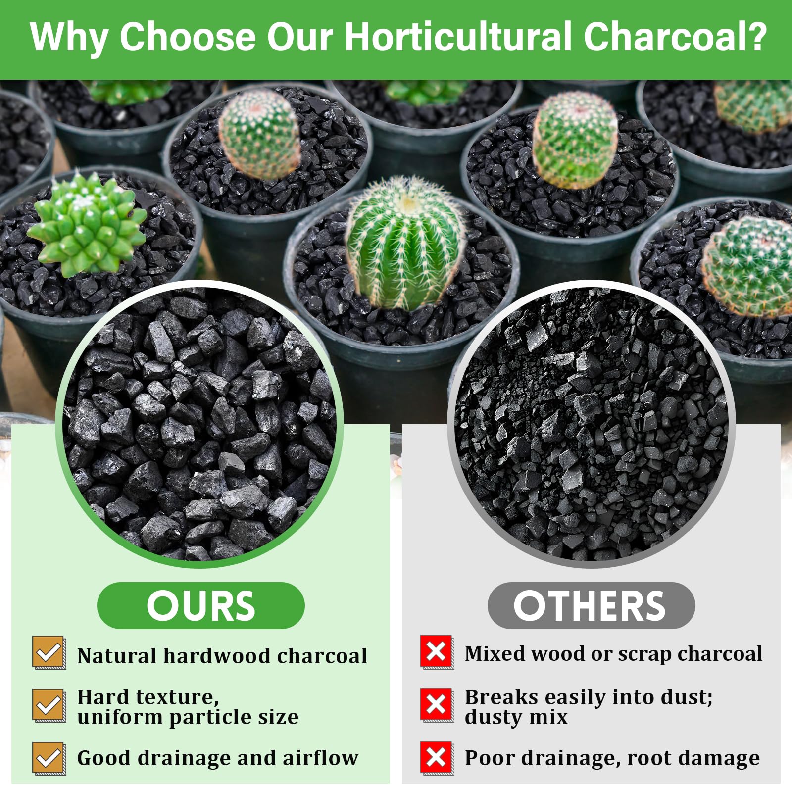 Legigo terrarium bottom layer charcoal enhances airflow and moisture balance.