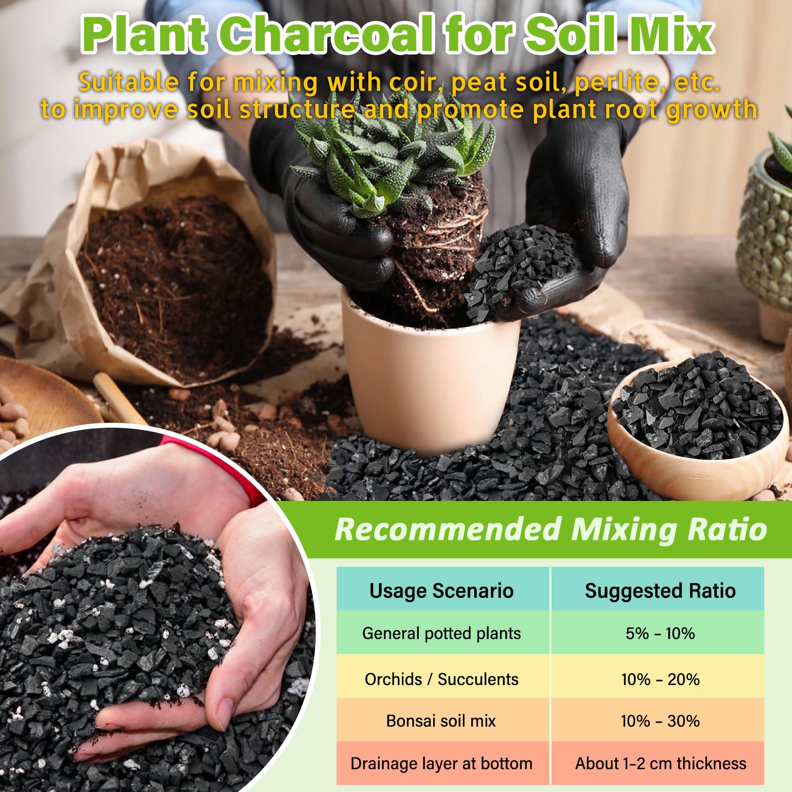 Legigo terrarium bottom layer charcoal balances moisture and airflow