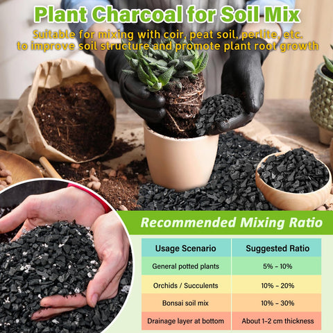 Legigo terrarium bottom layer charcoal balances moisture and airflow
