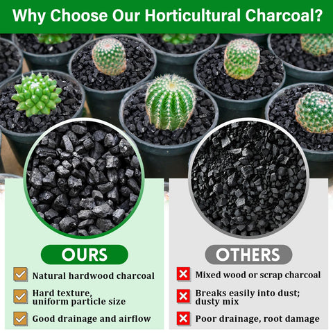 Legigo terrarium bottom layer charcoal supports moisture control and air circulation.