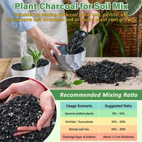 Legigo terrarium bottom layer charcoal supports moisture balance