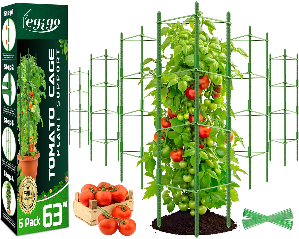 Legigo tomato cage 6-pack provides sturdy support for sprawling garden tomatoes.
