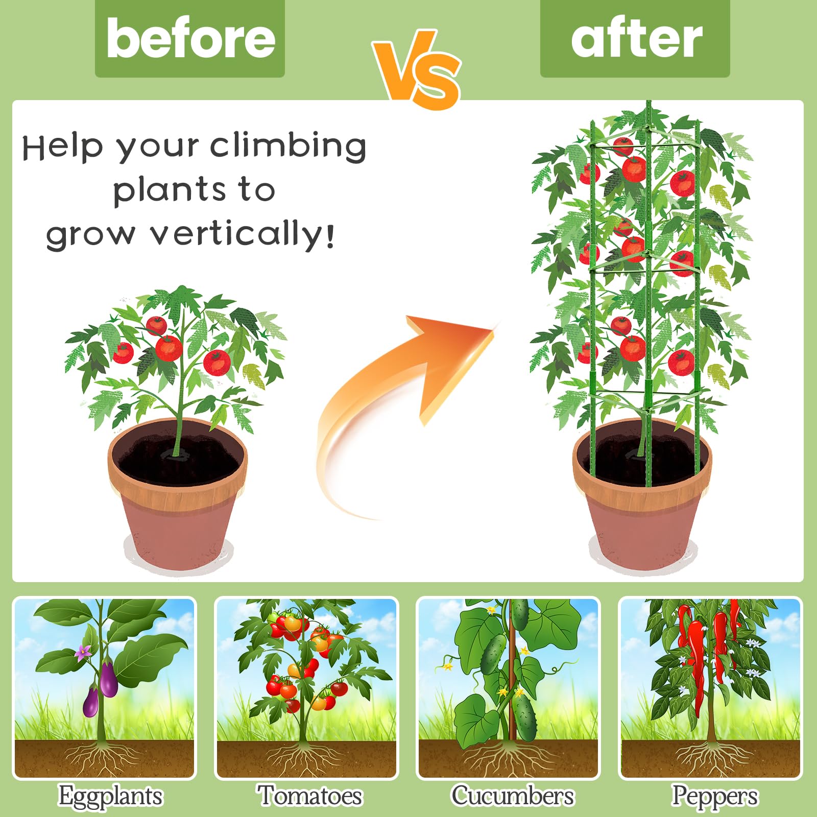 Legigo tomato cage adjustable height for plant growth.