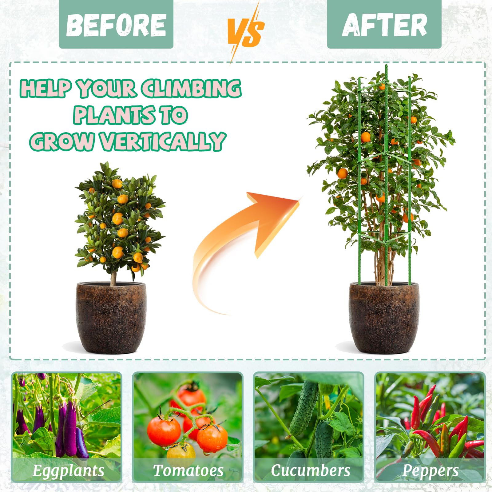 Legigo tomato cage pointed ends help bury stakes firmly in soil