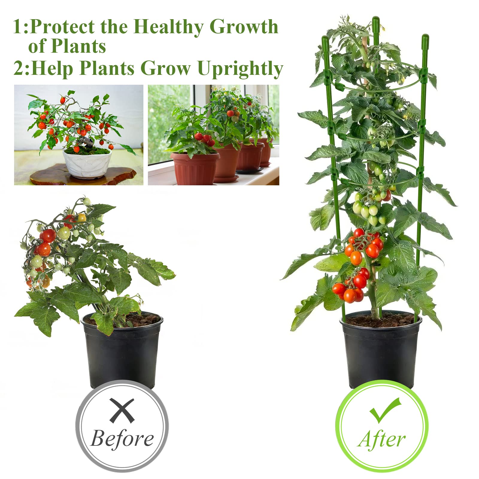 Legigo tomato cage with sturdy stand and 24 inch height