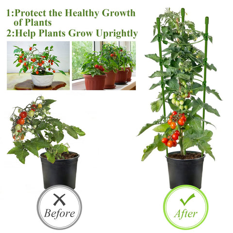 Legigo tomato cage with sturdy stand and 24 inch height