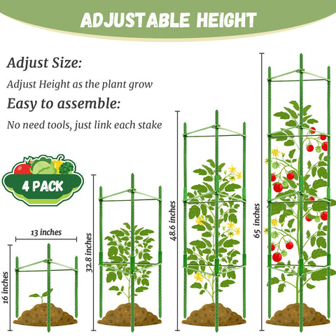 Legigo tomato cage provides vertical growth support for climbing crops.