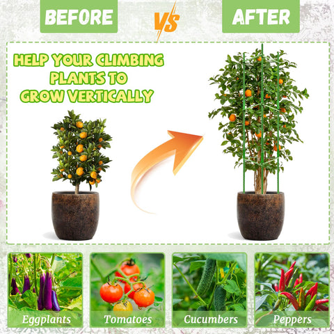Legigo tomato cage vertical support helps vines grow upright in garden or balcony.