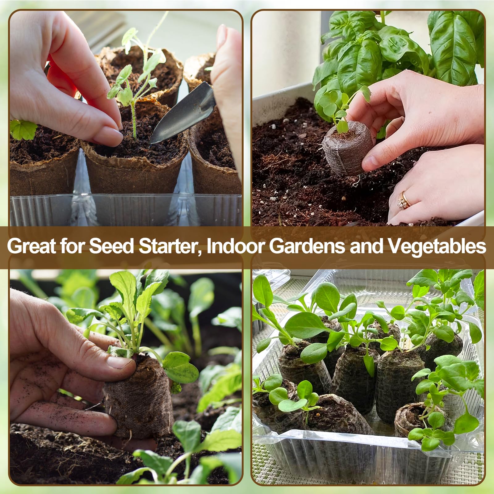 Legigo tomato and pepper seed-start pellets in use.