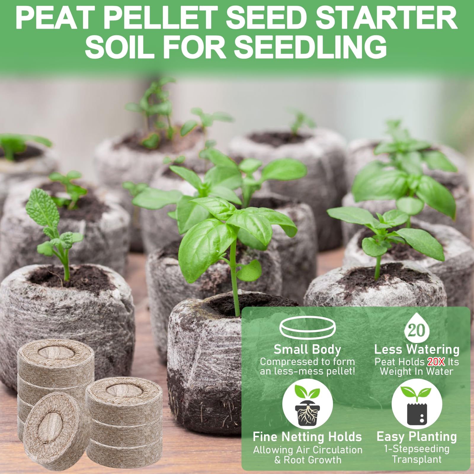 Legigo transplant-ready peat pellets simplify root growth and potting.