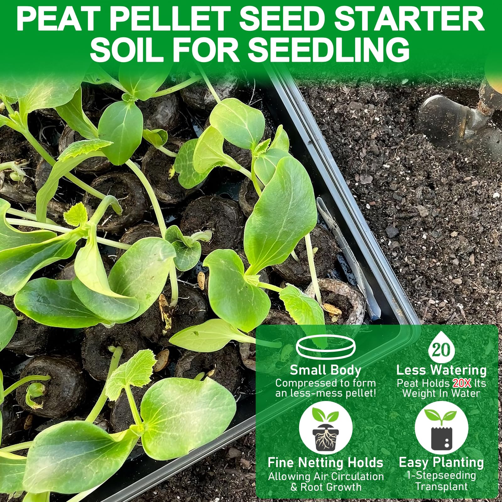 Legigo transplant-ready pods simplify planting with minimal root disturbance.