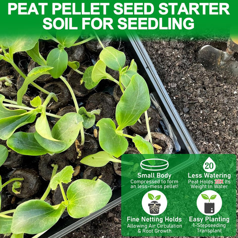 Legigo transplant-ready pods simplify planting with minimal root disturbance.