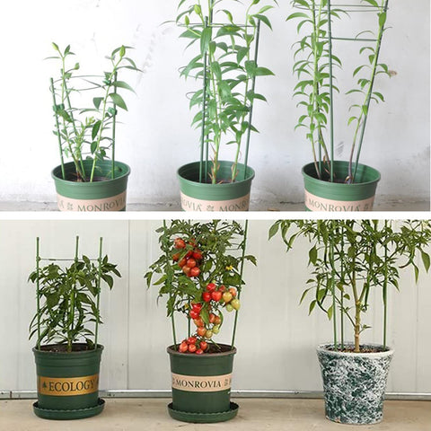 Legigo versatile supports work for tomatoes, cucumbers, peppers, and vines.