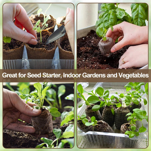 Legigo seed starter roots expand when netting is removed.