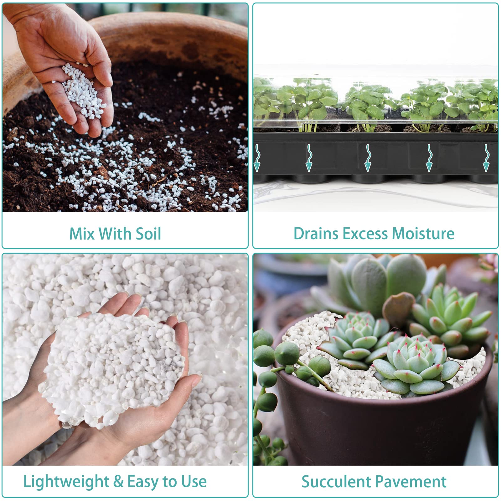 Legigo Venus Fly Trap soil uses perlite for drainage and moisture balance.