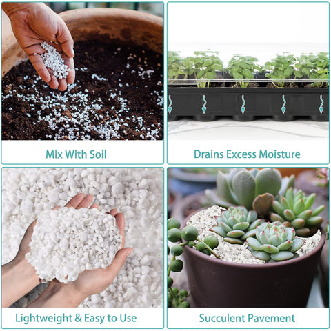 Legigo Venus Fly Trap soil uses perlite for drainage and moisture balance.
