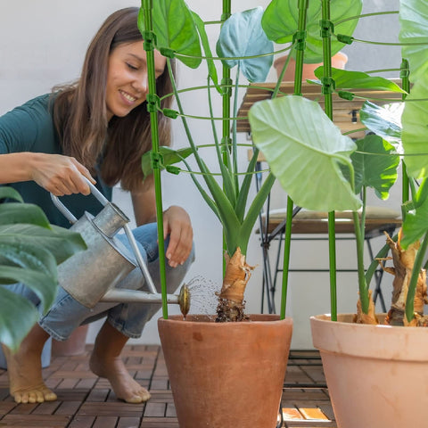 Legigo vertical gardening support for tomatoes and climbing plants in pots