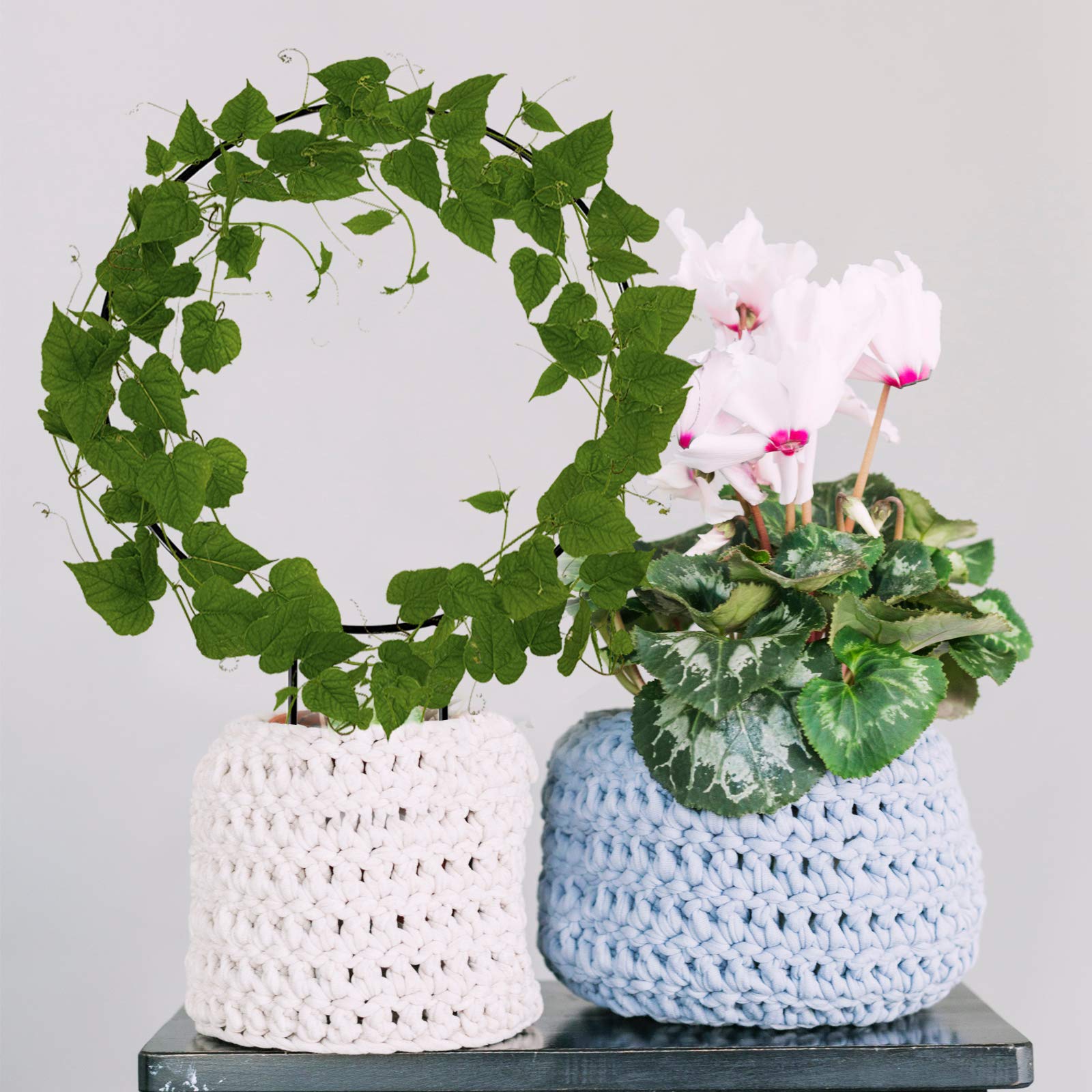 Legigo garden trellis supports vines, roses, and peas for steady growth