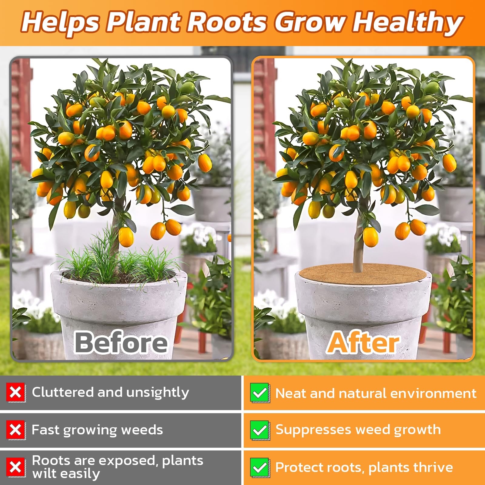 Legigo weed-suppressing ring blocks weeds around the plant base.
