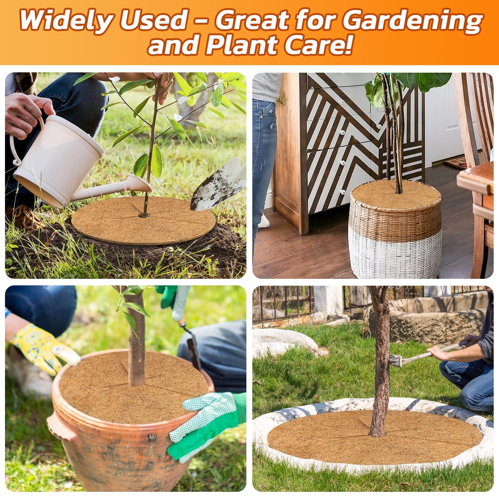Legigo versatile option for indoor pots and outdoor garden displays.