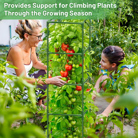 Legigo wide application supports tomatoes, peppers, cucumbers, and beans.