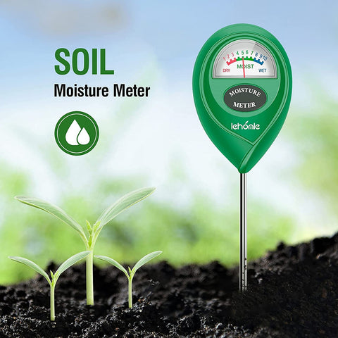 Lehomle plant water meter probe in pot enables quick moisture checks.