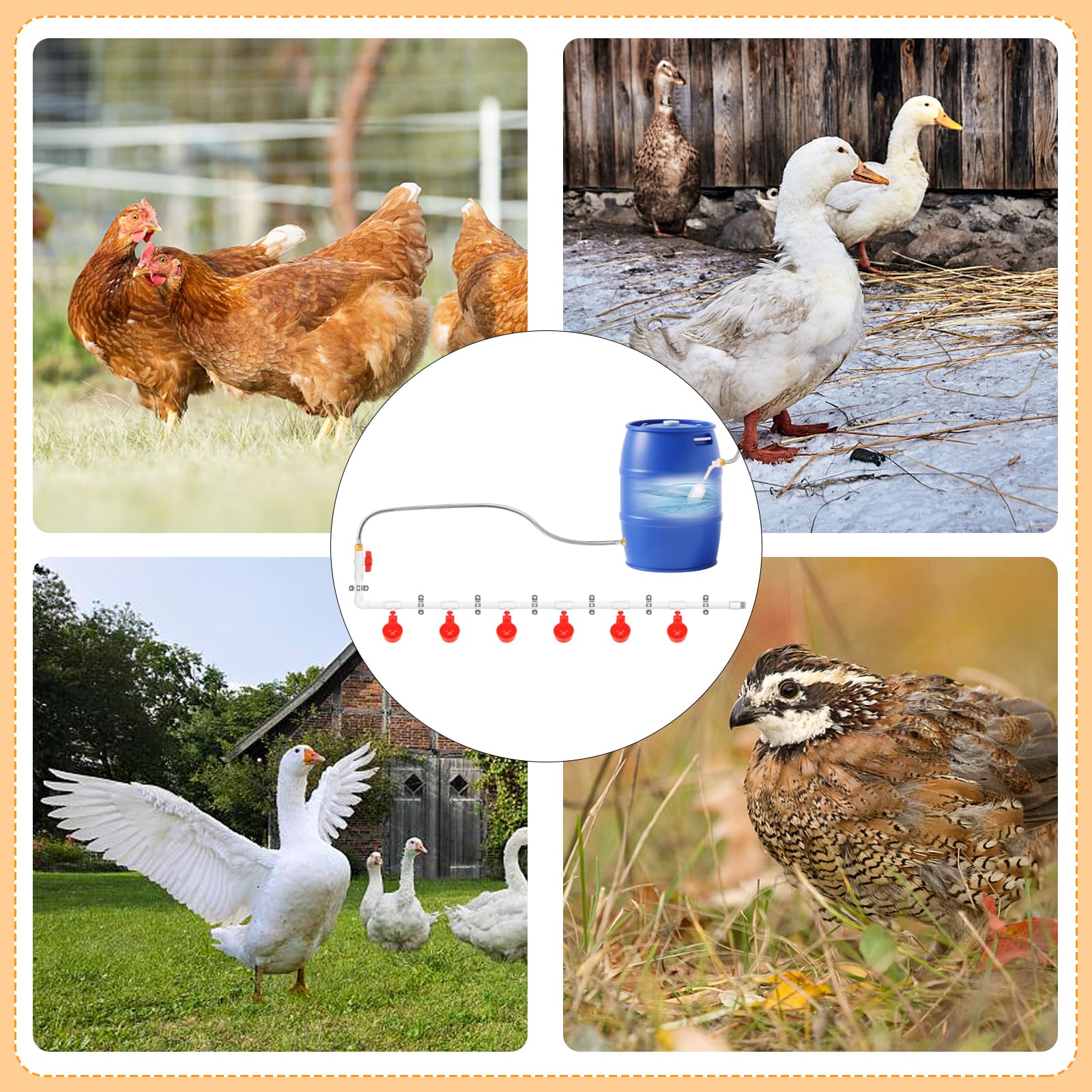 LEIFEOSH ready-to-install waterer keeps poultry hydrated in various coop layouts.