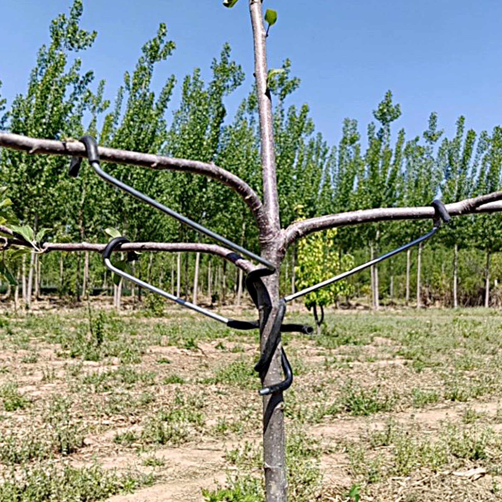 LEILINLIFE branch puller durable iron construction delivers stable support for branches