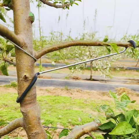 LEILINLIFE fruit tree limb spreader assembly enabling flexible support for many fruit trees during growth