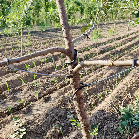 LEILINLIFE fruit tree support easy installation for quick setup and ongoing care