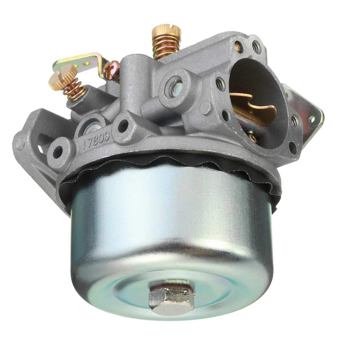 Kohler 8HP carburetor side view highlights throttle response potential