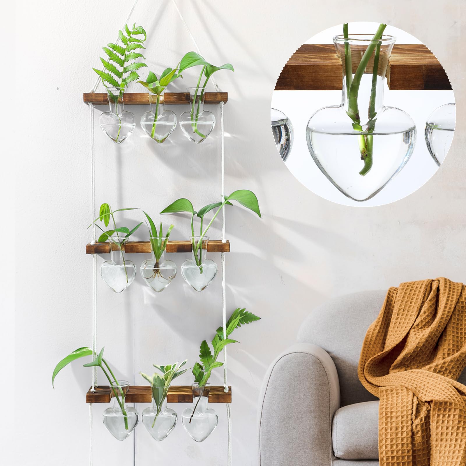 Leinuosen indoor garden terrarium adds charm to office or living areas.