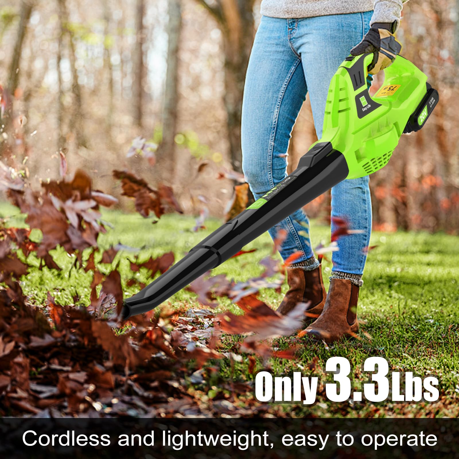 Leisch Life 21V leaf blower turbo air output up to 130 mph.