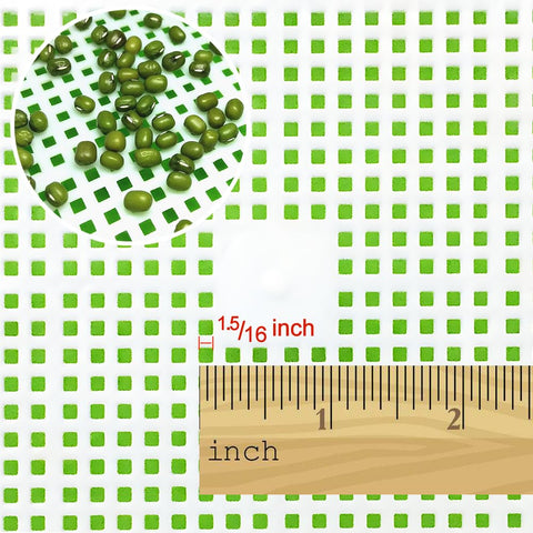 LeJoy Garden BPA-free PP material ensures safe sprouting