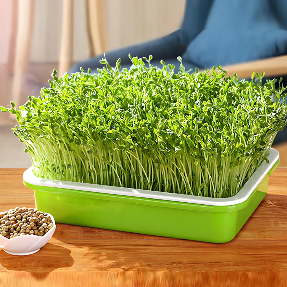 LeJoy Garden heat and moisture preservation shown in sprouting setup