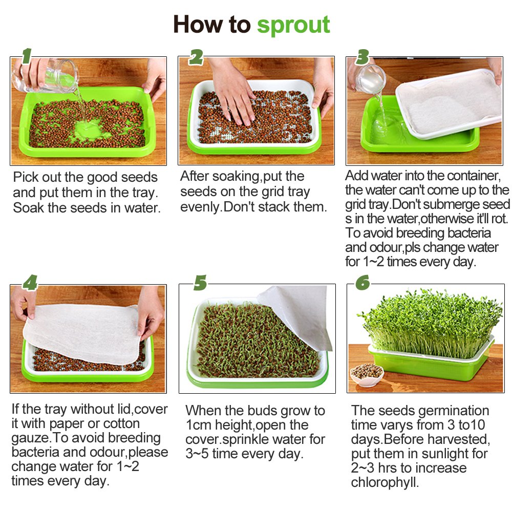 LeJoy Garden sprouts ready for salads and sandwiches