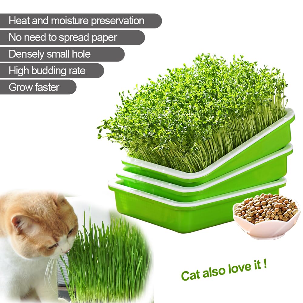 LeJoy Garden soil-free sprouting demo without soil for crisp sprouts