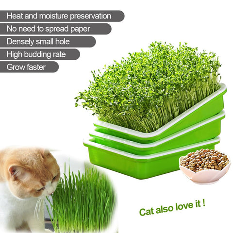LeJoy Garden soil-free sprouting demo without soil for crisp sprouts