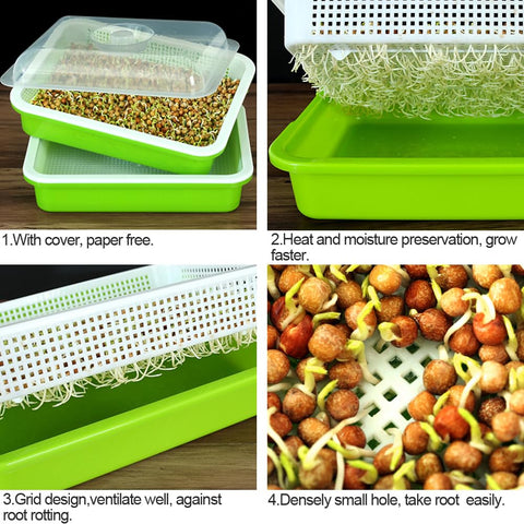 LeJoy Garden storage tray serves as seed container after sprouts