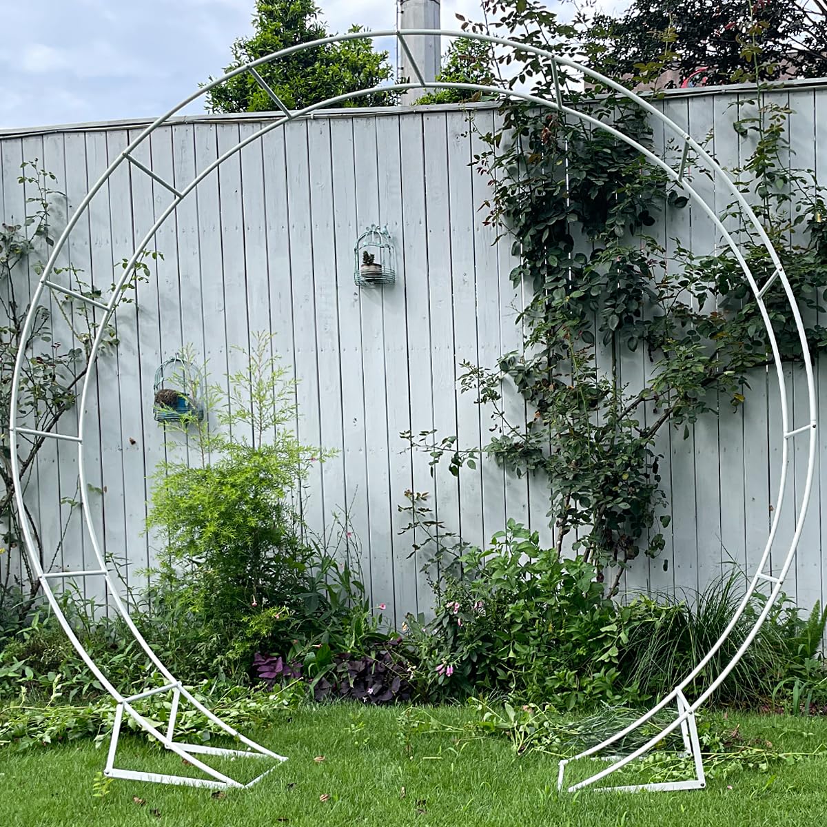 Garden-use arch with climbing plants over LeJoy Garden.