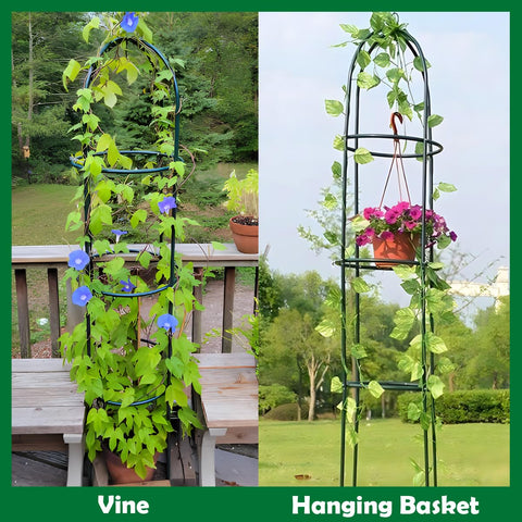 LeJoy Garden 6.3 ft obelisk supports flowering vines