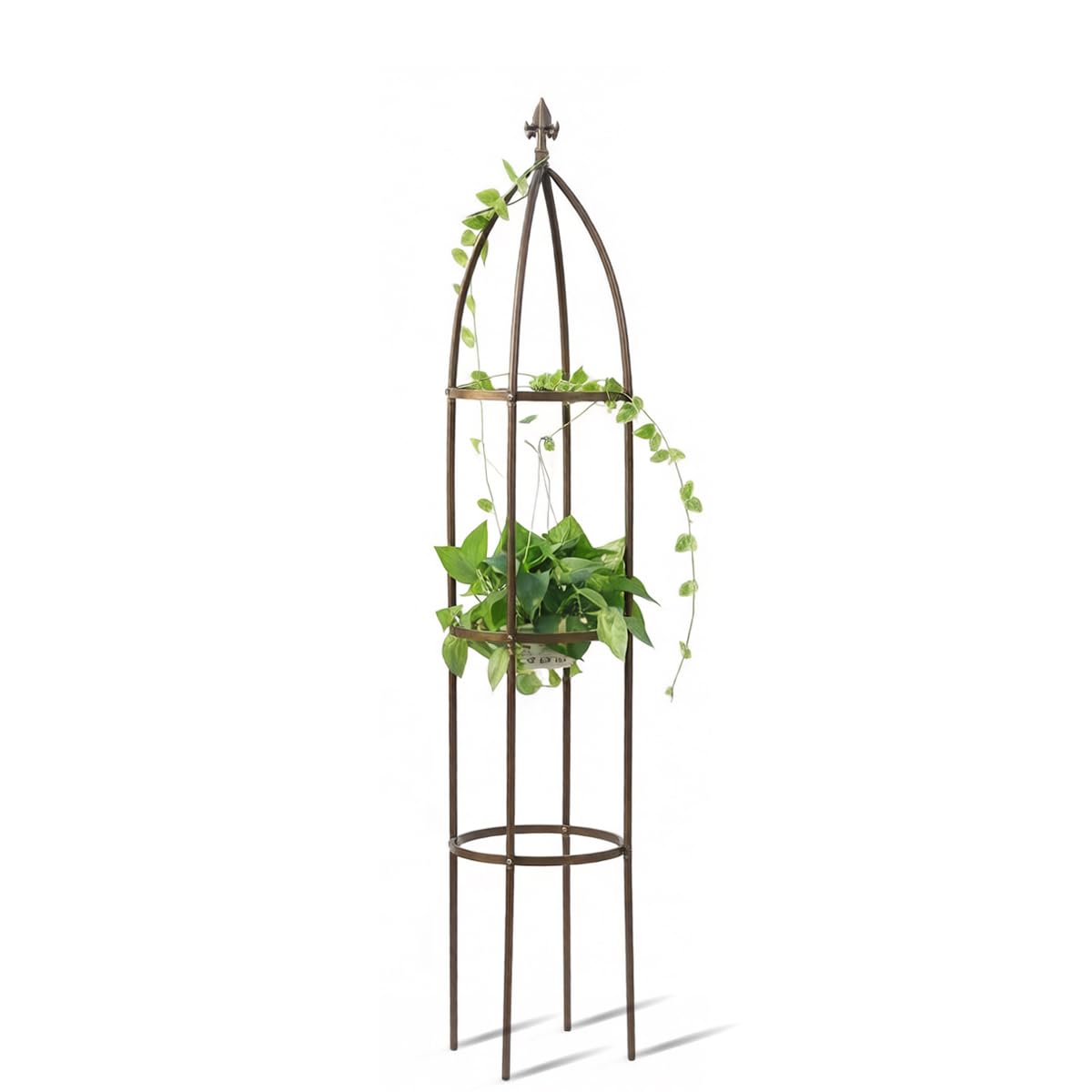 LeJoy Garden obelisk trellis supports heavy climbing plants like roses and tomatoes.