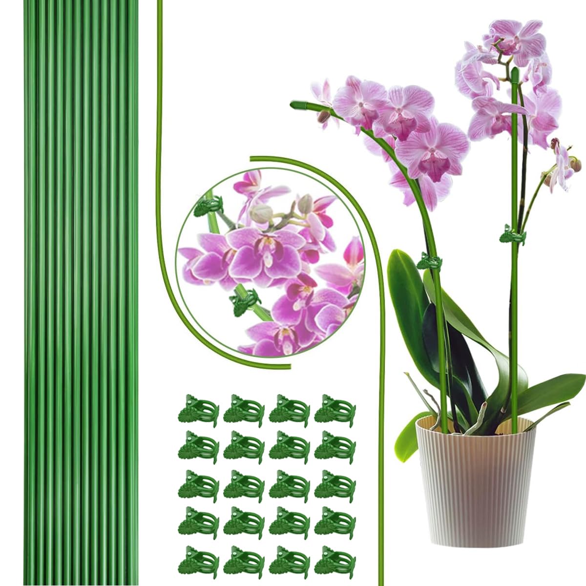 LeJoy Garden 22pcs plant stakes assembly with rust-resistant green coating.