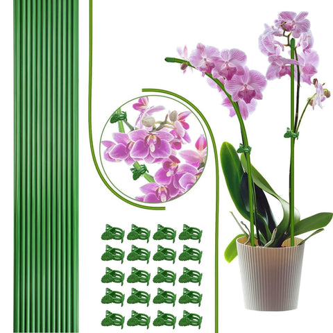 LeJoy Garden 22pcs plant stakes assembly with rust-resistant green coating.